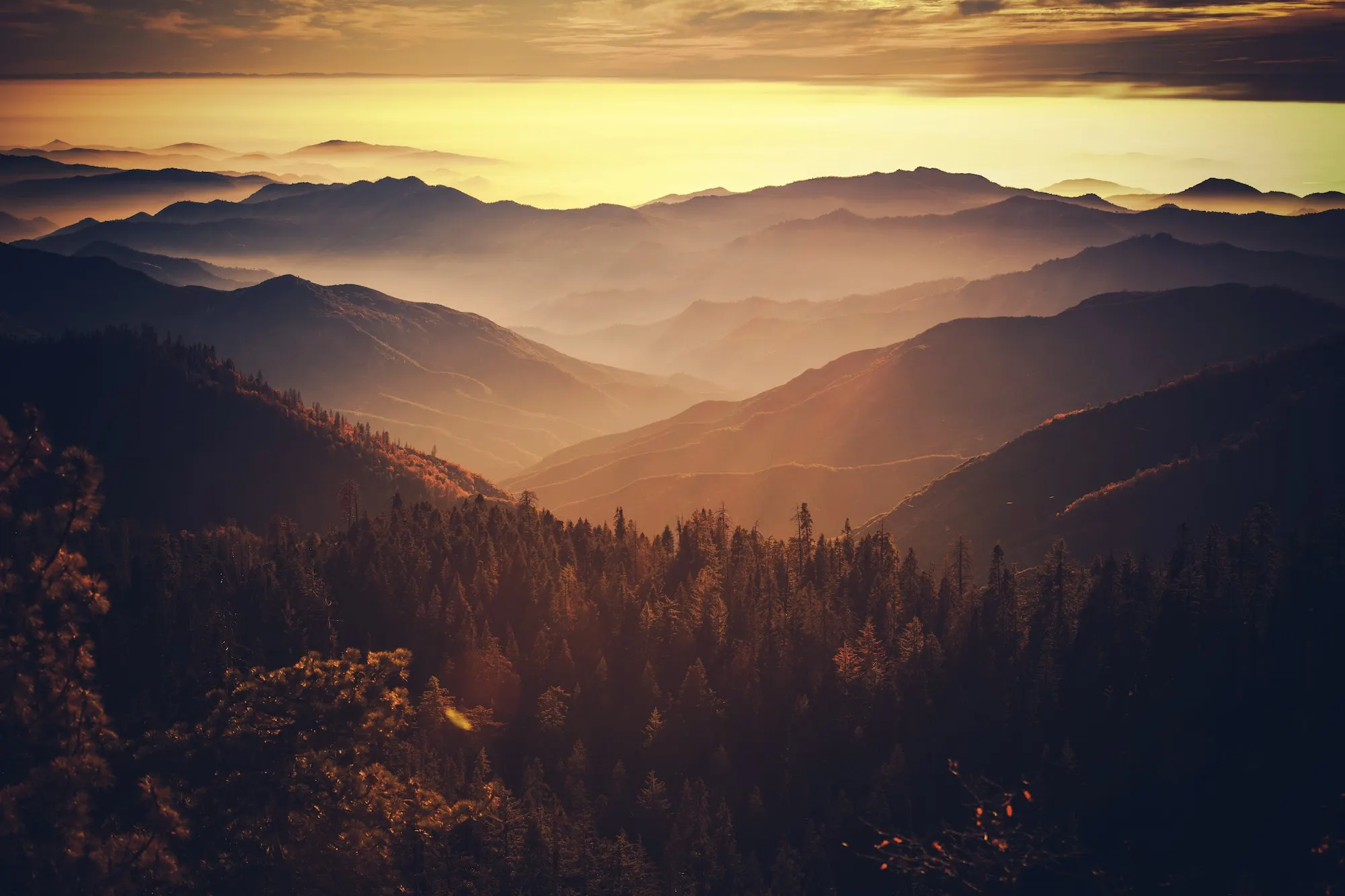 Layered mountain ranges with forested slopes beneath a golden sunset sky with mist in valleys