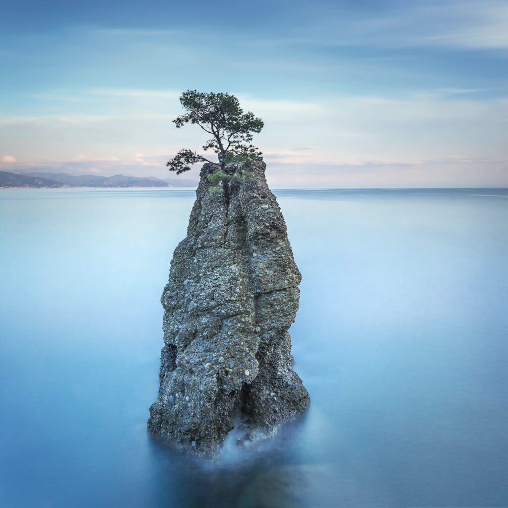 Portofino park. Pine tree rock cliff. Long exposure. Liguria, It